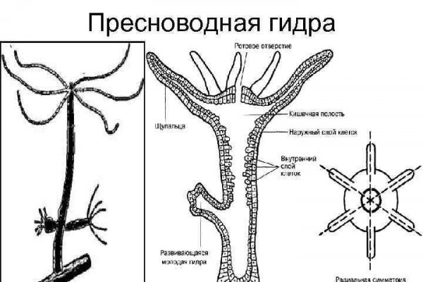 Кракен новая гидра